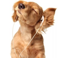 Денис Наприенко