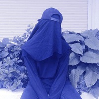 Виталий Шапкин