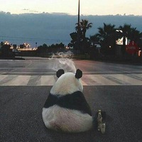 Аян Мусабек