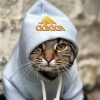 Антон Иванов