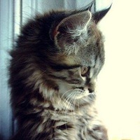 Иван Иванов(1)