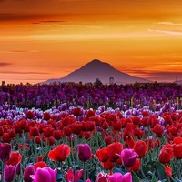 Дуйсенбекова Молдир