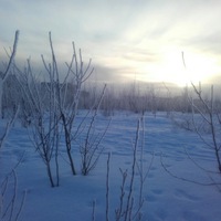 Дмитрий Логунов