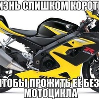 Алексей Селихов