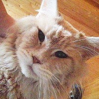 Сергей Сидоров