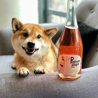 Артём Рождественский