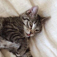 Иван Кызылов