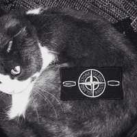 Влад Здебский