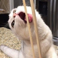 Никита Шарафутдинов