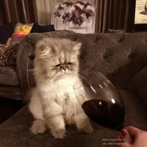 с л а д о с т ь