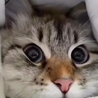 Кирилл Исмагилов