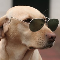 Руслан Пономарёв