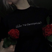 Никита Стрелов