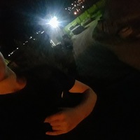 Вадим Бушмин