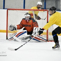 Никита Довженко