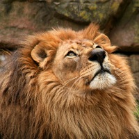 Никита Ильтеряков