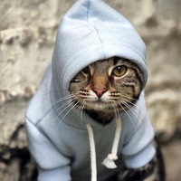 Алеша Данилин