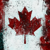 Никита Гущин