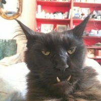 Богдан Лазар