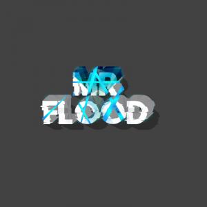 mr flood