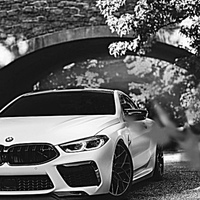 Артём Добровольский