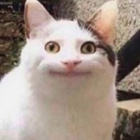 Александр Райков