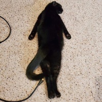 Аюр Цыбиков