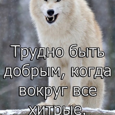 Евгений Харламов