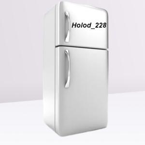 Holod_228